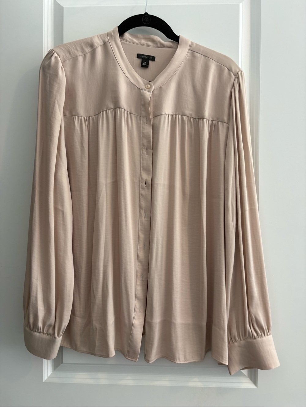 Ann Taylor Blush Cream Button-Down Long Sleeve Blouse